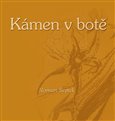 Kámen v botě - obálka