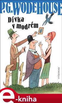 Obálka titulu Dívka v modrém