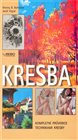 Kresba