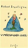 V melounovém cukru - obálka