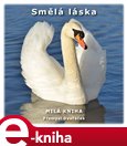 Smělá láska - obálka