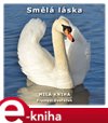 Smělá láska