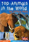 Top Animals in the World