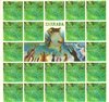 Zahrada - pexeso