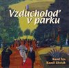 Vzducholoď v parku