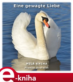 Obálka titulu Eine gewagte Liebe