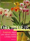 Orchideje