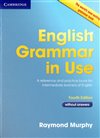 English Grammar in Use