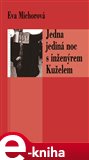 Jedna jediná noc s inženýrem Kuželem - obálka