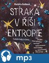 Straka v říši entropie