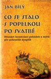 Co se stalo s Popelkou po svatbě (Dvanáct konstelací pohádek a mýtů pro pokročilé a dospělé) - obálka