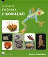 Vytváříme zvířátka z korálků