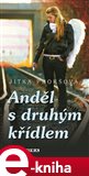 Anděl s druhým křídlem (Elektronická kniha) - obálka