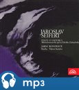 Píseň o Viktorce. Jarní rondeau - obálka