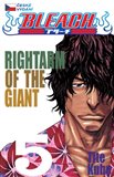 Bleach 5: Rightarm of the Giant - obálka