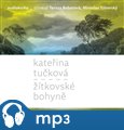 Žítkovské bohyně (mp3 ke stažení) - obálka
