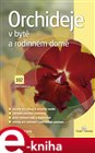 Orchideje v bytě a rodinném domě