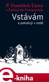 Vstávám a pokračuji v cestě - obálka