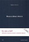 Bakalářská práce