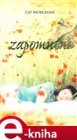 Zapomnění