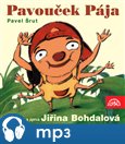 Pavouček Pája - obálka