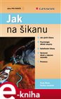 Jak na šikanu