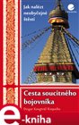 Cesta soucitného bojovníka