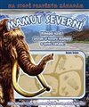 Mamut severní