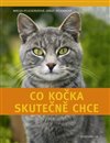 Co kočka skutečně chce