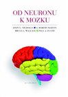 Od neuronu k mozku