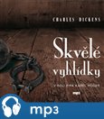 Skvělé vyhlídky - obálka
