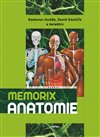 Memorix anatomie
