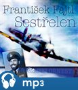 Sestřelen - obálka