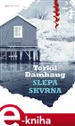 Slepá skvrna