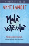 Obálka knihy Malá vítězství