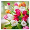 Obálka knihy Poznámkový kalendář Tulipány 2019