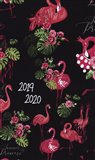 Obálka knihy 18měsíční diář Petito – Plameňáci 2019/2020