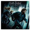 Obálka knihy Poznámkový kalendář Harry Potter 2020, 30 × 30 cm