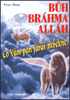 Bůh, Bráhma, Alláh aneb Co Vám Váš pan farář neřekne - obálka