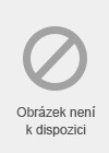 Receptury studených pokrmů