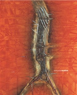 Kniha Miroslav Malina. Tulák po hvězdách