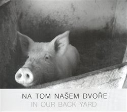 Levně Na tom našem dvoře/ In Our Back Yard - Pavel Klvač