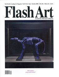 Flash Art 9/2008