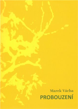 Probouzení