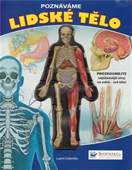 Lidské tělo
