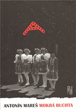 Mokrá buchta koupíte na Kosmas.cz