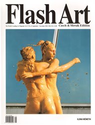 Flash Art 21/2011