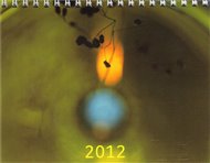 Kalendář Daniel Reynek 2012 - stolní