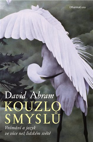 Kouzlo smyslů - David Abram