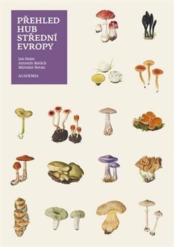 Levně Přehled hub střední Evropy - Antonín Bielich, Jan Holec, Miroslav Beran